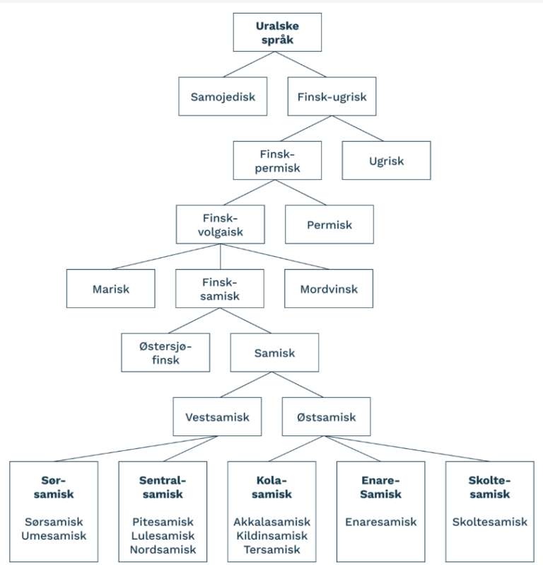 105 Samiske språk Lær norsk nå